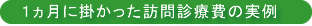 １ヵ月に掛かった訪問診療費の実例